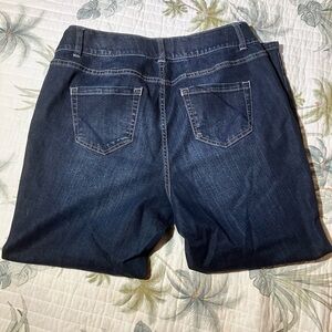Lane Bryant Dark Blue High Rise Skinny Jeans